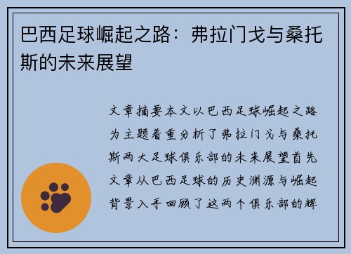 巴西足球崛起之路：弗拉门戈与桑托斯的未来展望