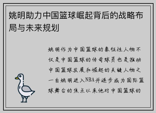 姚明助力中国篮球崛起背后的战略布局与未来规划